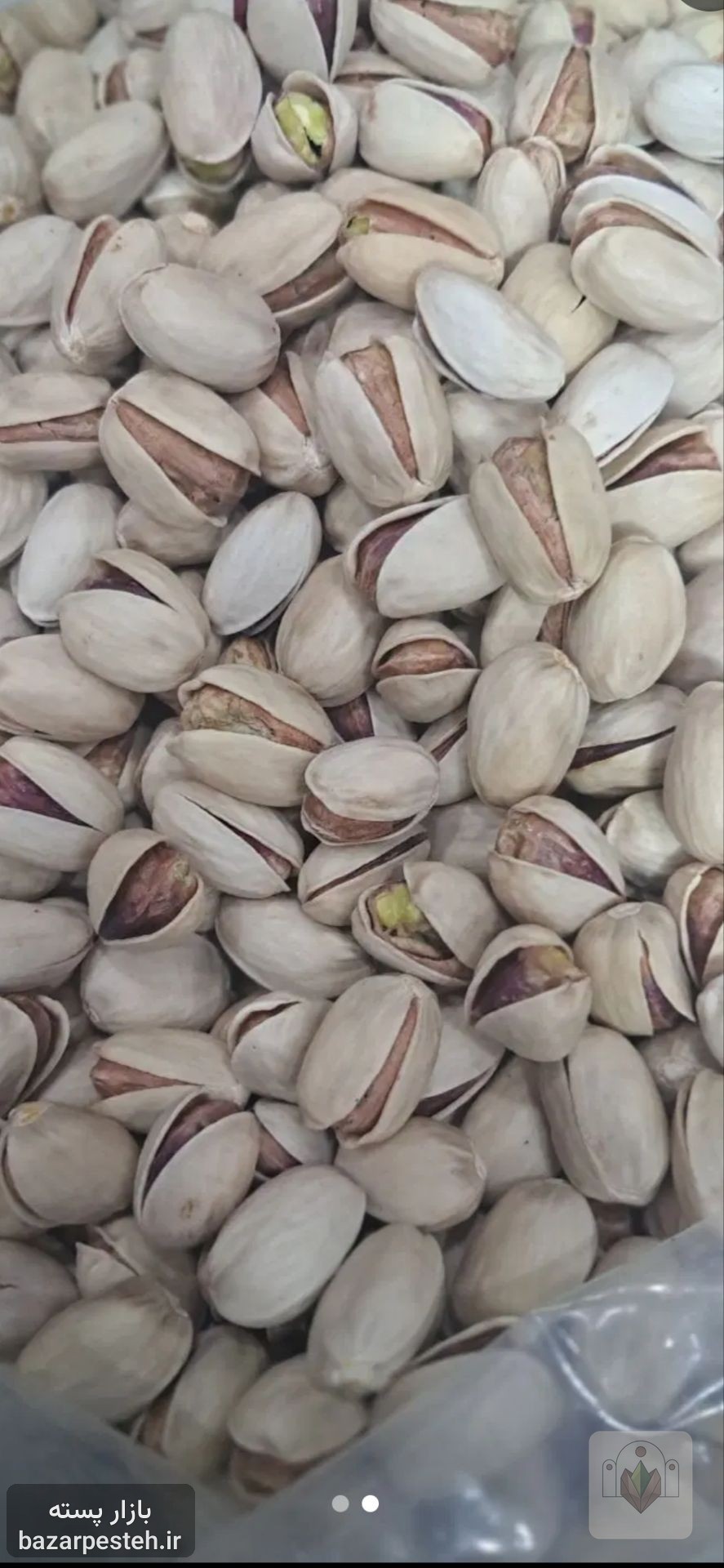 پسته بادامی فیض‌آباد، تصویر 3