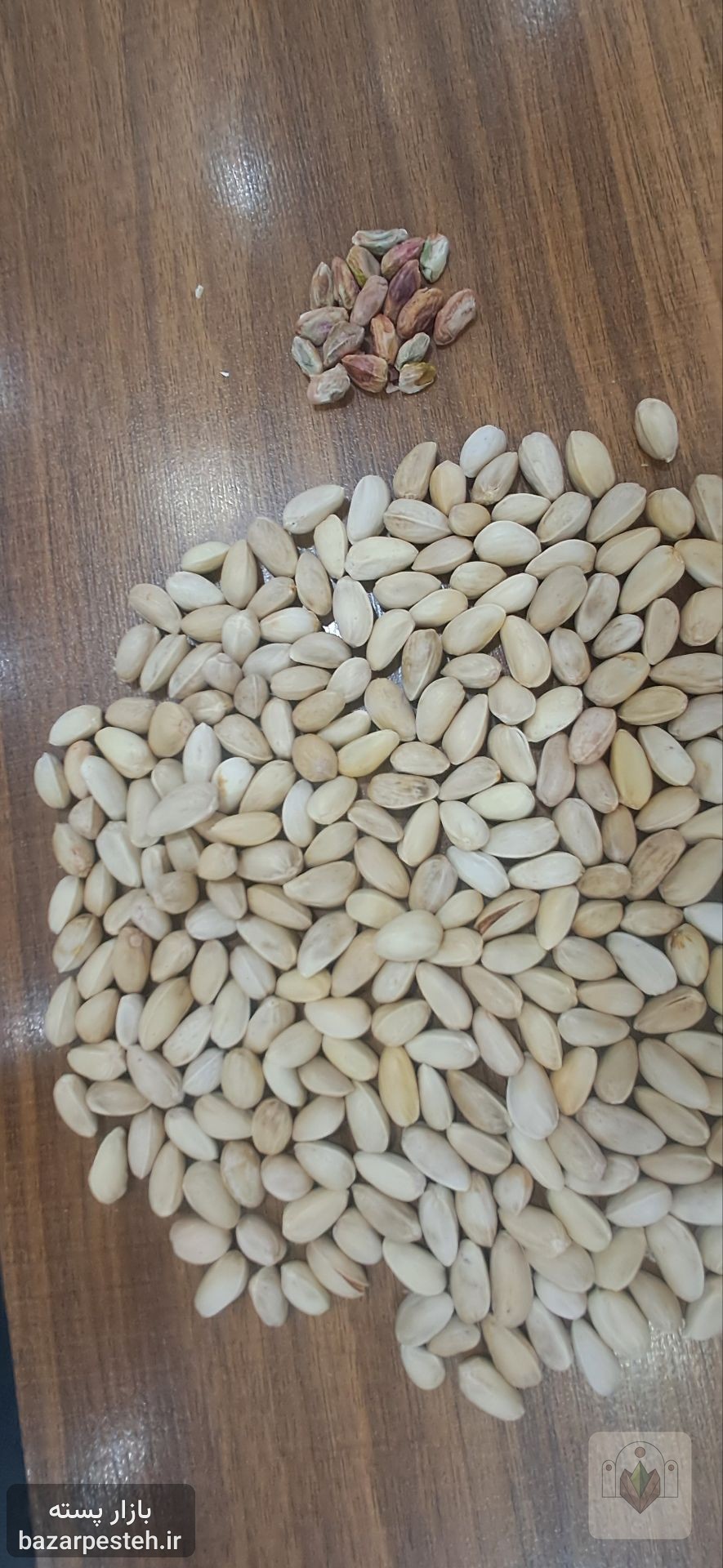 پسته اکبری، تصویر 2