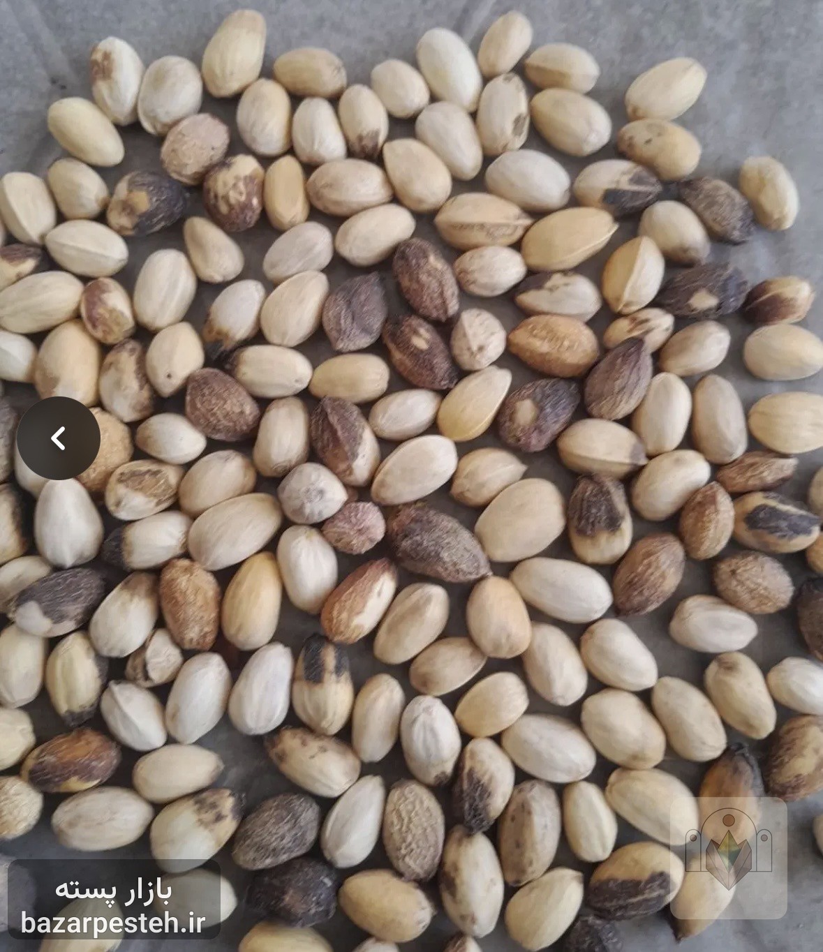 خریدار پسته کال پوست پوک گو روابی، تصویر 2