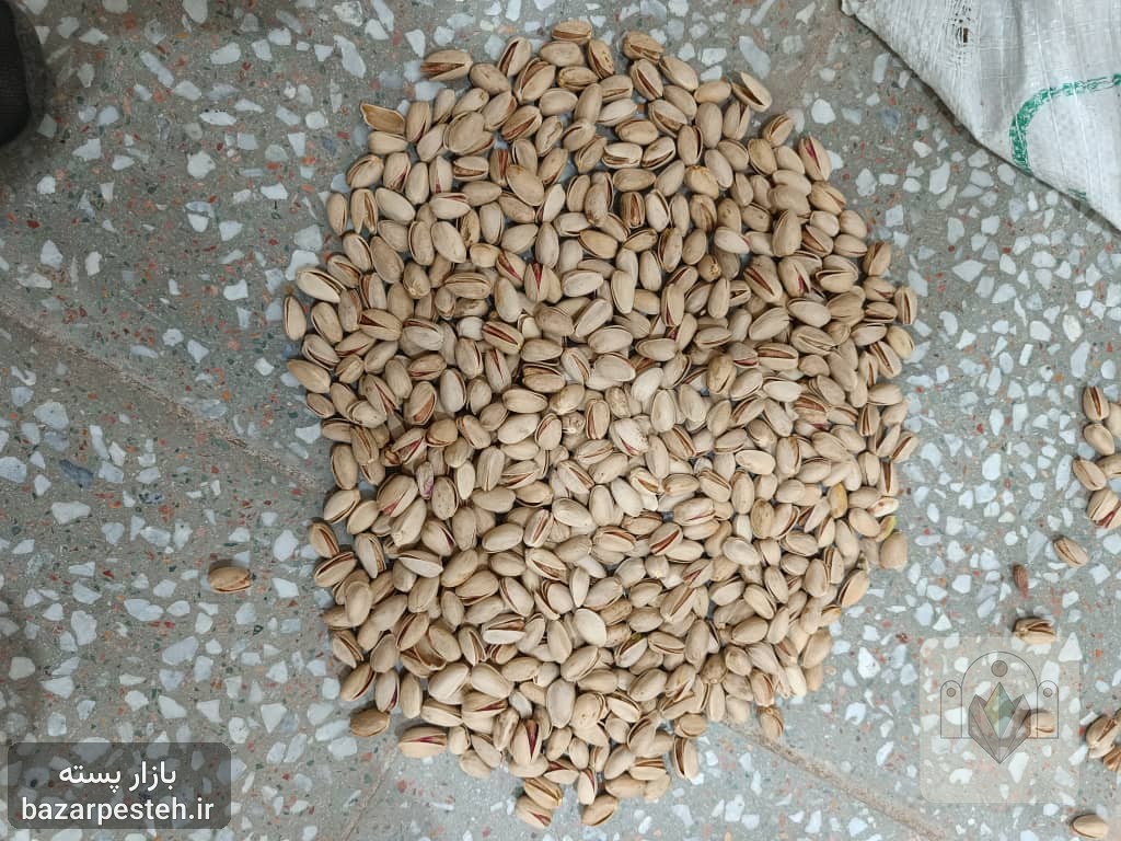 خریدار پسته دهنبست هرنمونه ای مغز بالای ۴۵گرم بصورت تناژ
