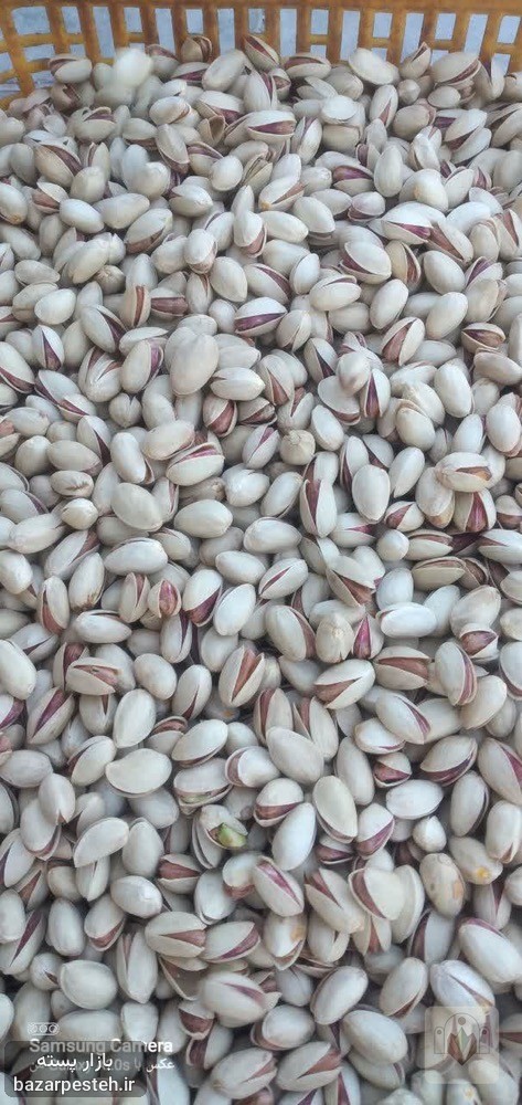 پسته احمدآقایی ۲۷، تصویر 2