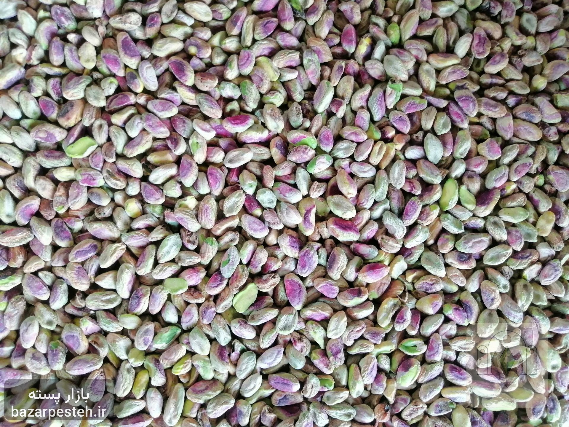 مغز گلدار تنه سبز