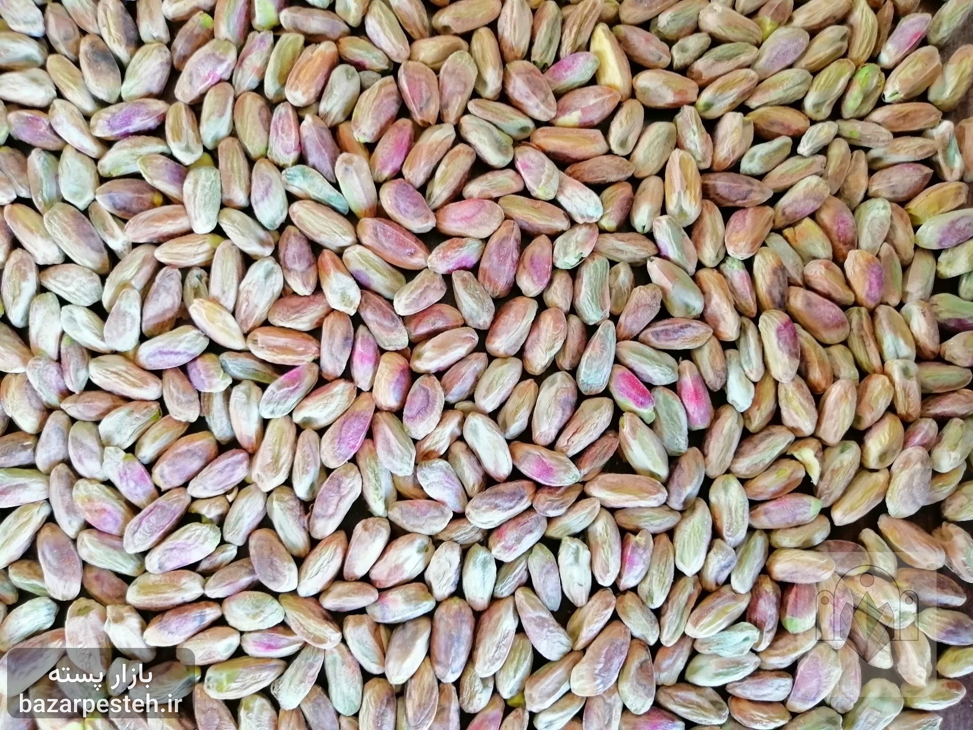 مغز خندان اکبری دست شکن